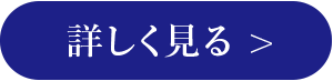 詳しく見る